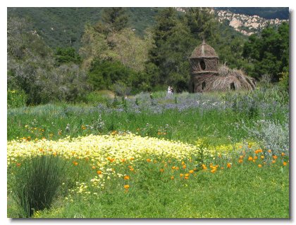 California 2004 (16)